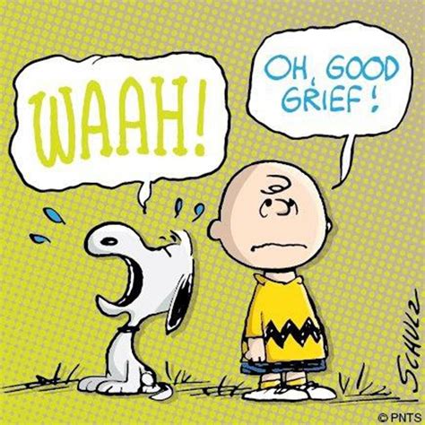 Good greif. GOOD GRIEF is a not-for-profit 501(c)3 organization, (Tax ID # 200514996). Putting the Good in Grief with compassion, support, and community. Contact Us 