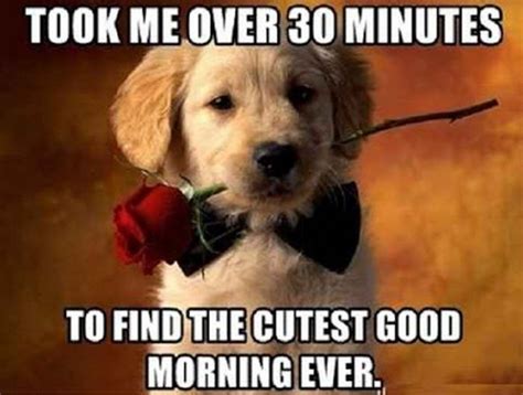 Good morning beautiful memes for her. Good morning sweetheart. Was so hard to leave you sleeping, you looked beautiful…. (Send her a funny gif or meme) Morning gorgeous! I hope this makes you smile as much as you make me smile 😊. Thinking of you this morning. Ever since we met you make my mornings so much brighter babe. Have an amazing day…XO. 