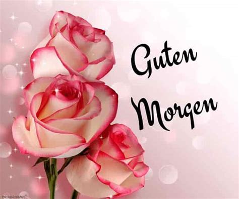 Good morning handsome in german. How to Say Good Morning in German. If you want to say good morning in German, you would simply say, “guten Morgen.”. As the day wears on, you can go for “guten Abend” (good evening), or “gute Nacht” (good night). Notice that all the nouns are capitalised; it’s something done consistently when writing in German. 