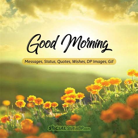 Good morning images good morning. They’re all here: Inspirational, motivational, and funny good morning quotes. Good morning quotes with love, for her or him. Spiritual, positive, and … 