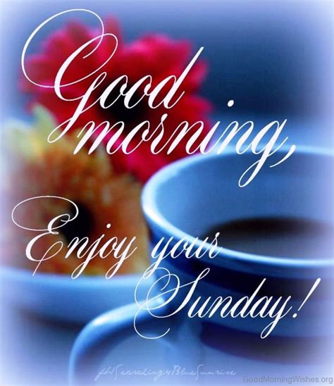 Good morning of sunday. Things To Know About Good morning of sunday. 