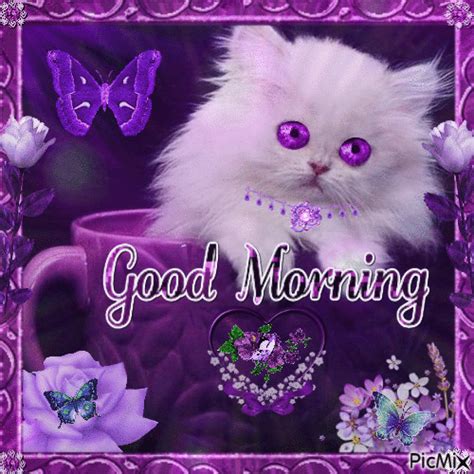 Good morning purple gif. Coffee. Alarm clock. Still life. Tea. Common lilac. of 77. Find Good Morning Purple stock images in HD and millions of other royalty-free stock photos, illustrations and vectors in the Shutterstock collection. Thousands of new, high-quality pictures added every day. 