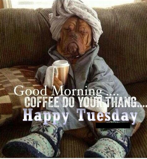 Good morning tuesday funny. Things To Know About Good morning tuesday funny. 