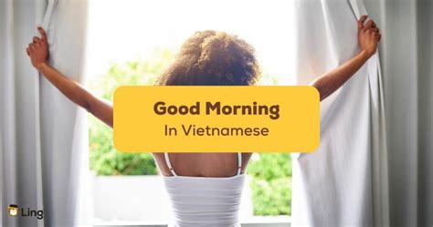 Good morning vietnamese. Things To Know About Good morning vietnamese. 