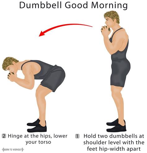Good mornings workout. On the surface, deadlifts and good mornings are very similar exercises. They're both compound exercises which use a hip hinge, and they target similar muscles. The main … 