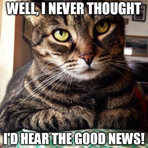 Good news meme. Things To Know About Good news meme. 