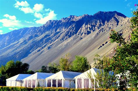 Good place to stay with great Food - Review of Terrain Ladakh Camp ...