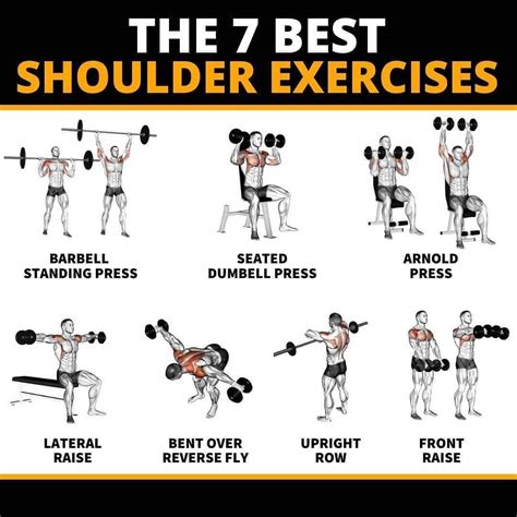 Good shoulder workouts. b) Squeeze your deltoid hard at the top and slowly return to the starting position. c) Maintain tightness in your shoulder and repeat this motion. Shop Barbells. 4. Barbell Overhead Press. The overhead press is an essential shoulder exercise that targets both your front and middle delts. 