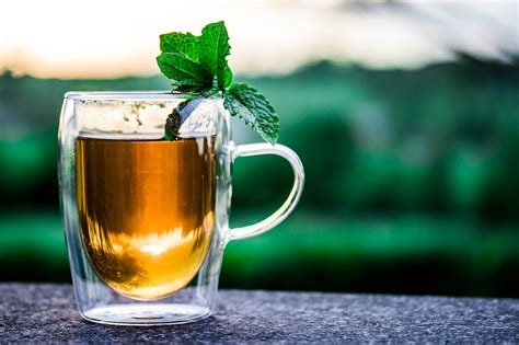 Good tea. Mint tea is a traditional tea that’s celebrated in many cultures. In Moroccan culture, the tea is steeped with mint and green tea leaves, and sugar, and commonly served at all times of day. 