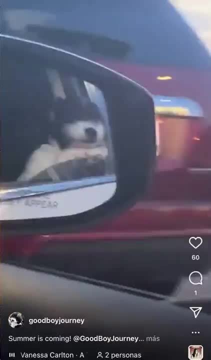 Goodboyjourney Onlyfans Leaked XxX 217 Videos