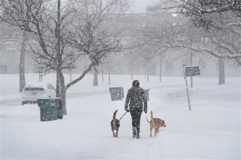 Goodbye, snowy Illinois winters? New climate report offers dry projections
