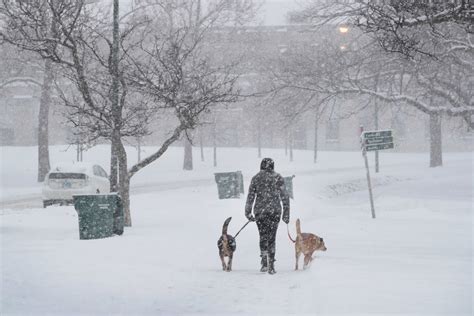 Goodbye, snowy winters? New climate report offers dry projections