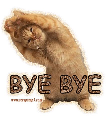 Goodbye Cat Meme GIFs Tenor