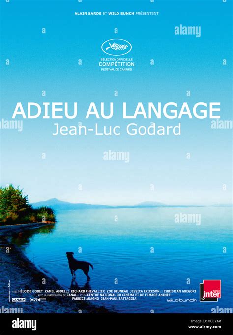 Goodbye to Language (French: Adieu