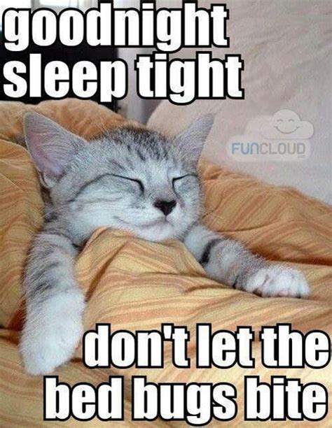 Goodnight cat memes. Things To Know About Goodnight cat memes. 