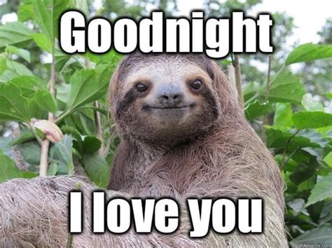 Goodnight i love you meme cute. Dec 31, 2021 - Explore Sindy's board "Good night i love you" on Pinterest. See more ideas about good night i love you, good night, good night messages. 