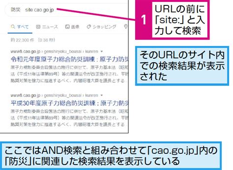 Google検索で「絞り込み検索」などのワザを使いこなす方法 で …