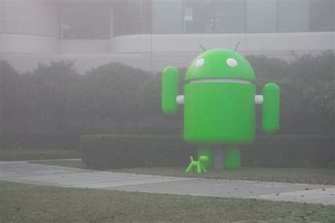 Google Patches Android Security Risk Update Now