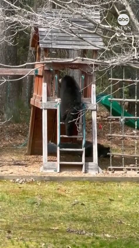 Google diary.  Enter your note and click Done.  People have been keeping...