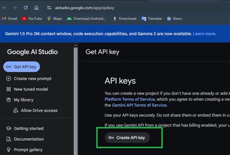 Google gemini api.  This guide covers getting an API key from Google AI Studio and invoking ...