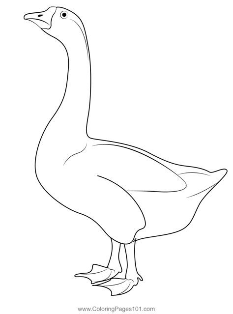 Goose Coloring