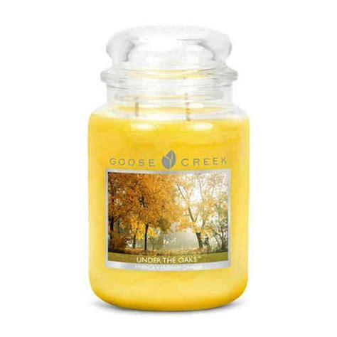 Goose creek candles where to buy. Goose Creek 3-Wick Candles are 14.5oz and are designed to quickly fill large spaces with fragrance. Each candle is highly scented using some of the most premium fragrance oils and essential oils on the market. Each candle burns for up to 45 hours with 100% lead-free wicks. Our premium wicks prevent excessive smoking and sooting, ensuring a ... 