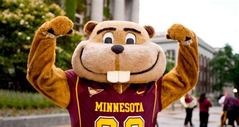Gopher sport. Things To Know About Gopher sport. 