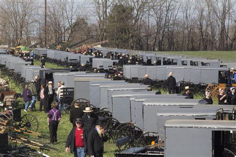 A couple hundred used buggies — horses not included — were lined up and ready for the auctioneer’s gavel last weekend when day began at the Gordonville mud sale, a local Amish tradition ...