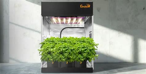 Gorilla Growing Tents: The Ultimate Indoor Gardening Solution