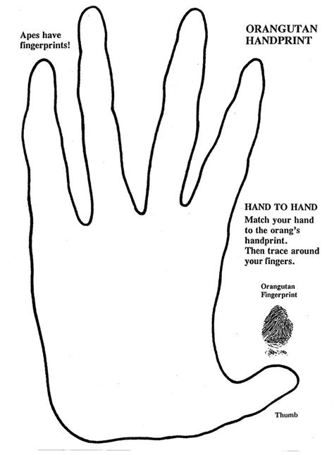 Gorilla Handprint Template