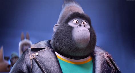Gorilla from sing. Things To Know About Gorilla from sing. 