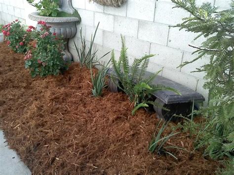 Gorilla hair mulch. Redwood Gorilla Hair is popular with our commercial landscape contractors for all commercial and residential planter areas. SPEC MULCH is a blend of aged and ground shrub, tree branches and composted wood chips and bark. This product is approximately 2” in size and has a rich, dark, fibrous appearance that gives a natural look to your ... 