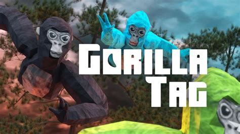 Gorilla Tag Competitive. Players Matches Teams Discord Sponsors
