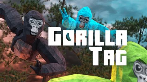 Gorilla tag fan games that have mods. Paintbrawl is a team vs. team paintball battle using slingshots.Run from the other gorillas, or outmaneuver the survivors to catch them. Parkour up trees and cliff faces to evade and chase monke down. Hang out in a virtual jungle with randos or group up in a private room with friends to hang out and play. The stakes are low, so feel free to ... 