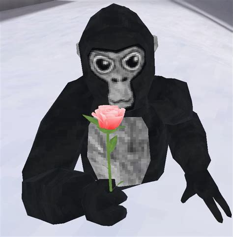 3D design Gorilla Tag + cosmetics created by Miss-Atr3mis with Tinkercad . 