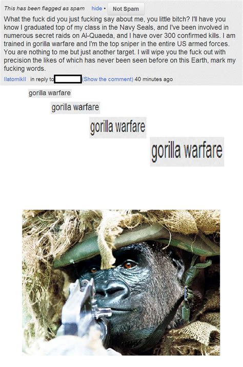 A few years ago someone linked me to a Vocaroo of some tenor dude reciting the gorilla warfare copypasta. I can hear it in my head perfectly, he … Press J to jump to the feed.. 