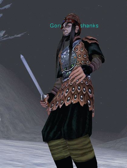 Gorul Halı ve Koltuk Yıkama