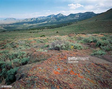 Goshute Photos and Premium High Res Pictures - Getty Images