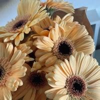 💦 XXX Gostosa111 Leaks