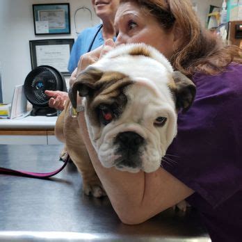 Gotham Animal Clinic - Veterinarians.org