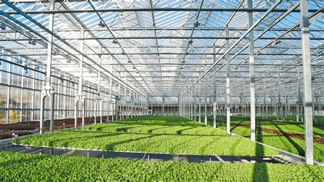 Gotham Greens Accelerates Growth with West Coast …