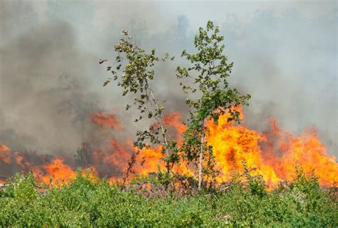 Gov. Greg Abbott sends resources to help combat fires in Louisiana