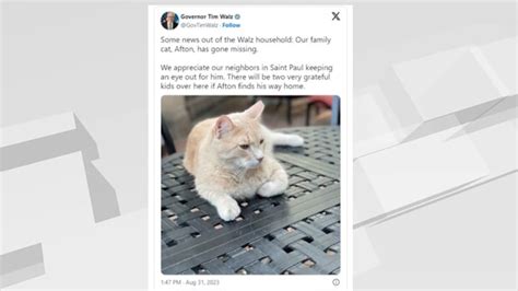 Gov. Tim Walz asks neighbors to keep eye out for missing family cat, Afton