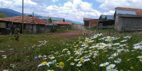 Govrecik Halı ve Koltuk Yıkama