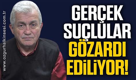 Gozardi Halı ve Koltuk Yıkama