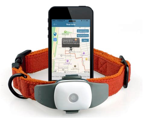 Gps dog tracker. Things To Know About Gps dog tracker. 
