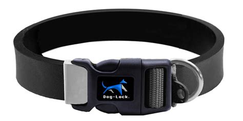 Gps for dogs collar. Things To Know About Gps for dogs collar. 