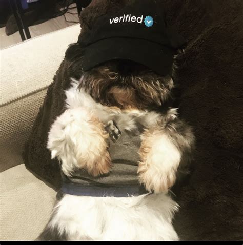 Gr3Mlinbaby Leaked PORN 🍌 231 Videos