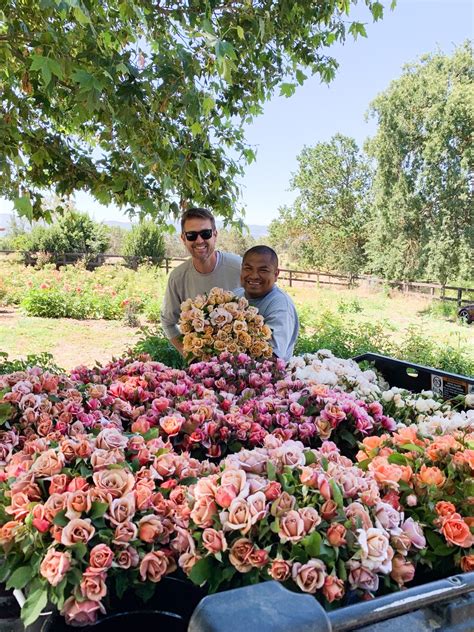 Grace rose farms. Our California Estate Grown Garden Roses are grown in Ventura County by the wonderful team at Grace Rose Farm. Our garden roses are reserved for select retail clients, event florists, and Southern California residents who can pick-up our roses at our farm or find them through one of our retail partners. Our California Estate Grown Garden Roses ... 