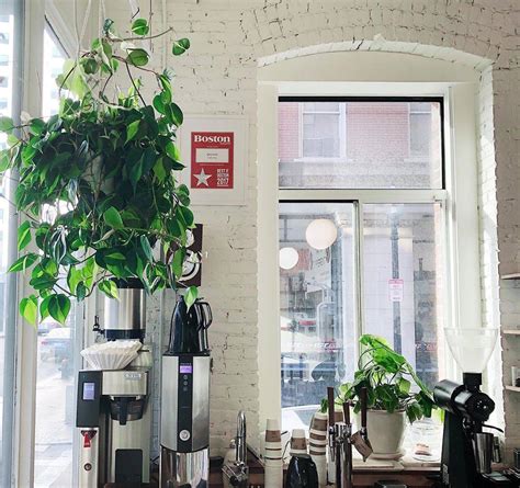 Gracenote coffee boston. Gracenote Coffee. This tiny, beloved coffee bar is a mainstay in the Boston coffee scene. Known for fantastic expresso and coffee beans, Gracenote provides a variety of beans from around the world. They roast in small batches and … 